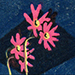 Yasushi Omoto Gallery